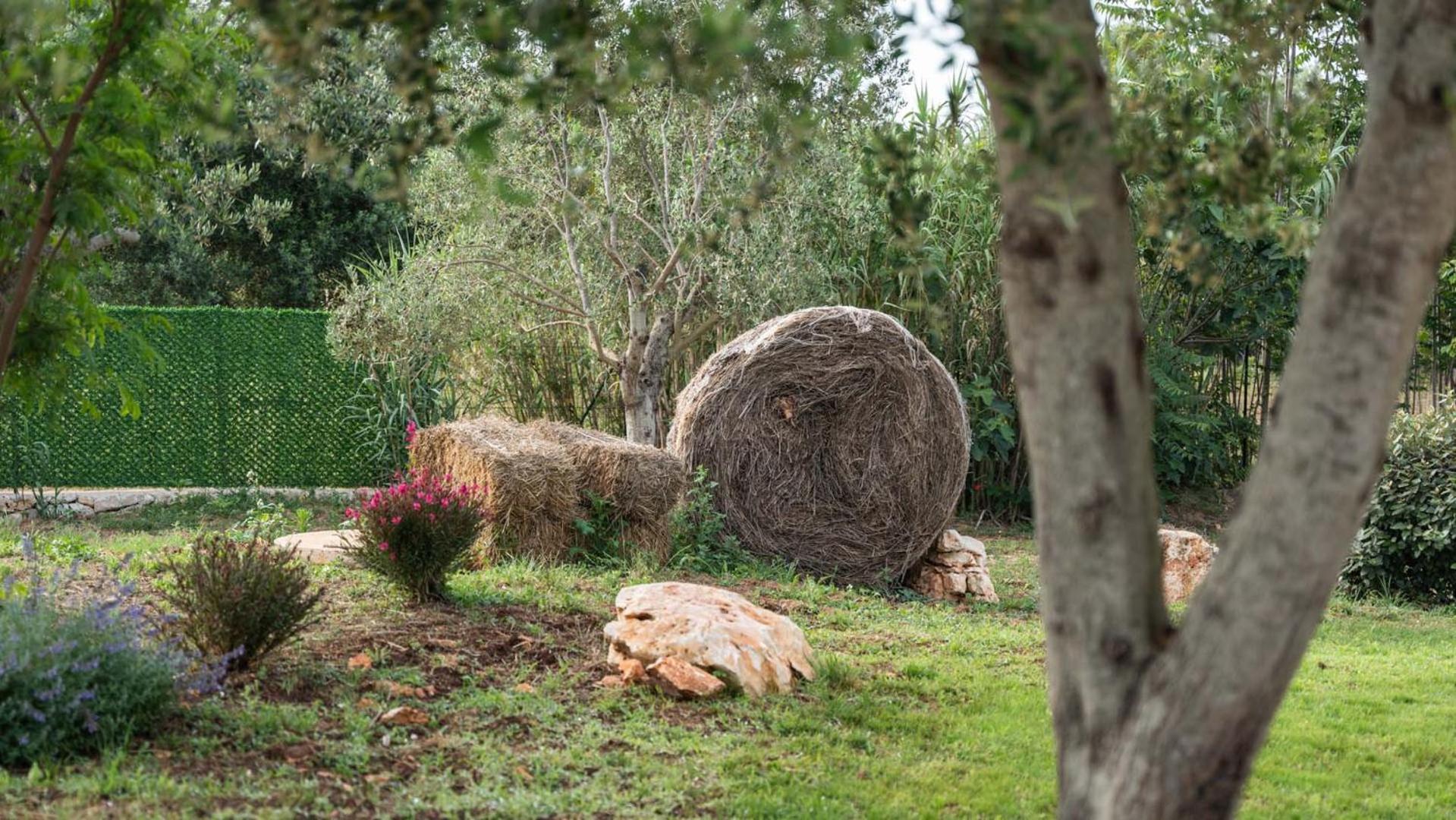Petranima Wellness In Trulli Bed & Breakfast Ostuni Ngoại thất bức ảnh